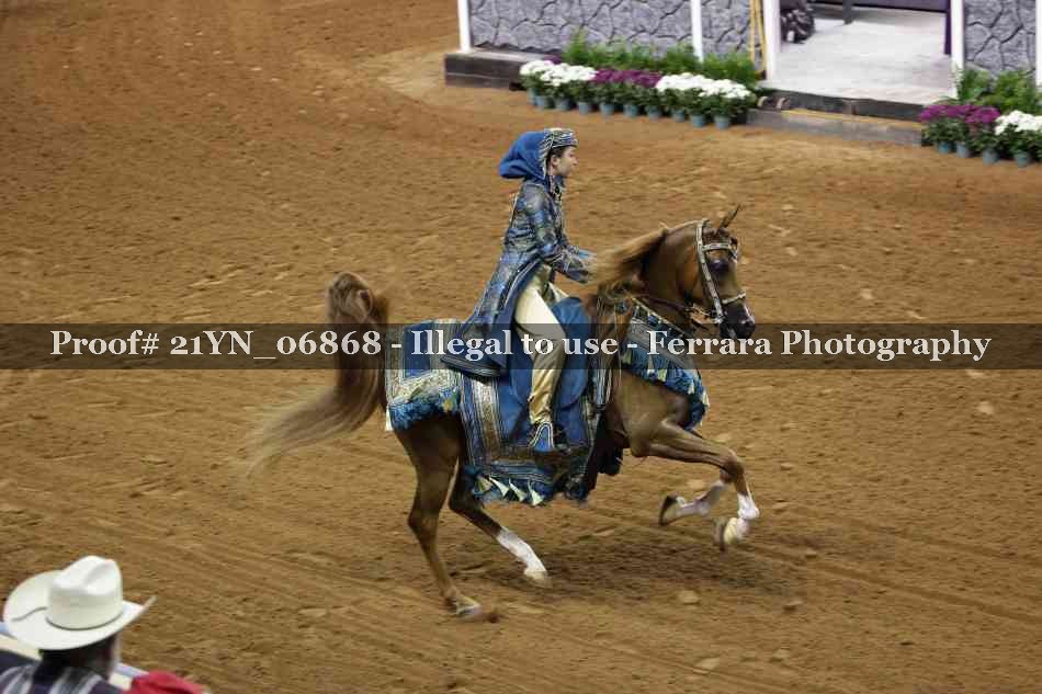 Proof 21YN_06868