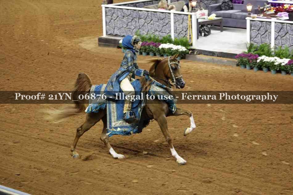 Proof 21YN_06876
