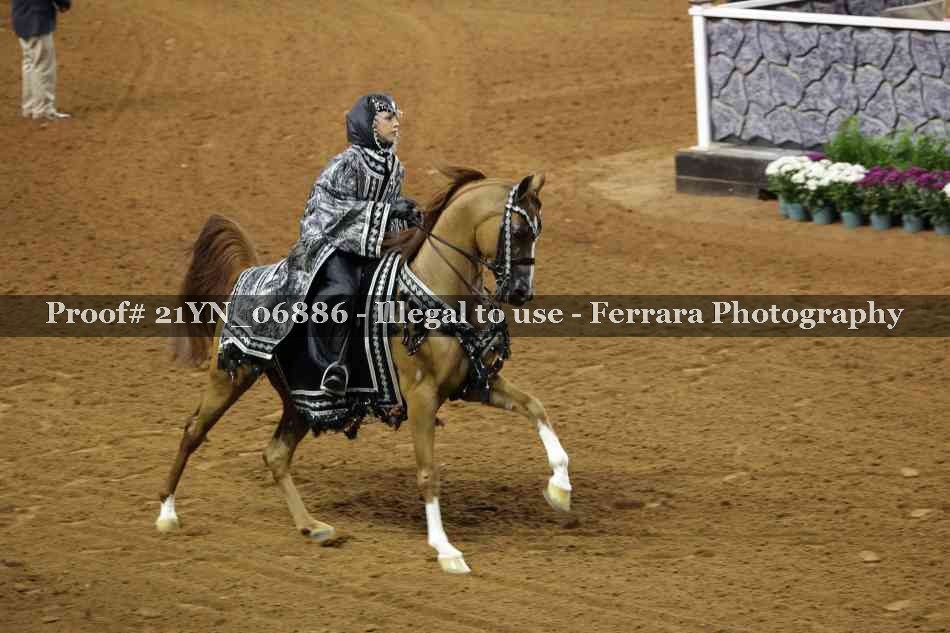 Proof 21YN_06886