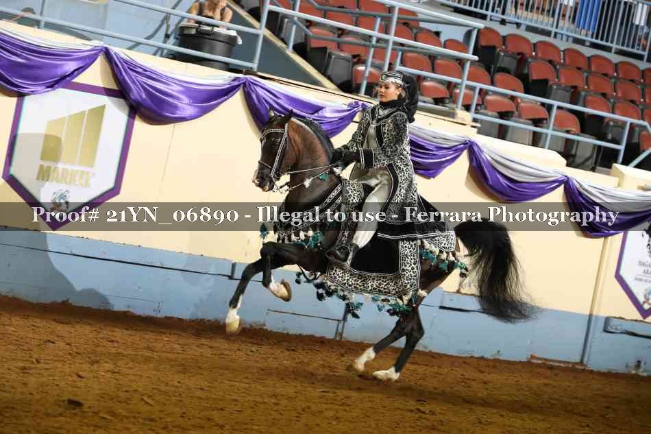 Proof 21YN_06890