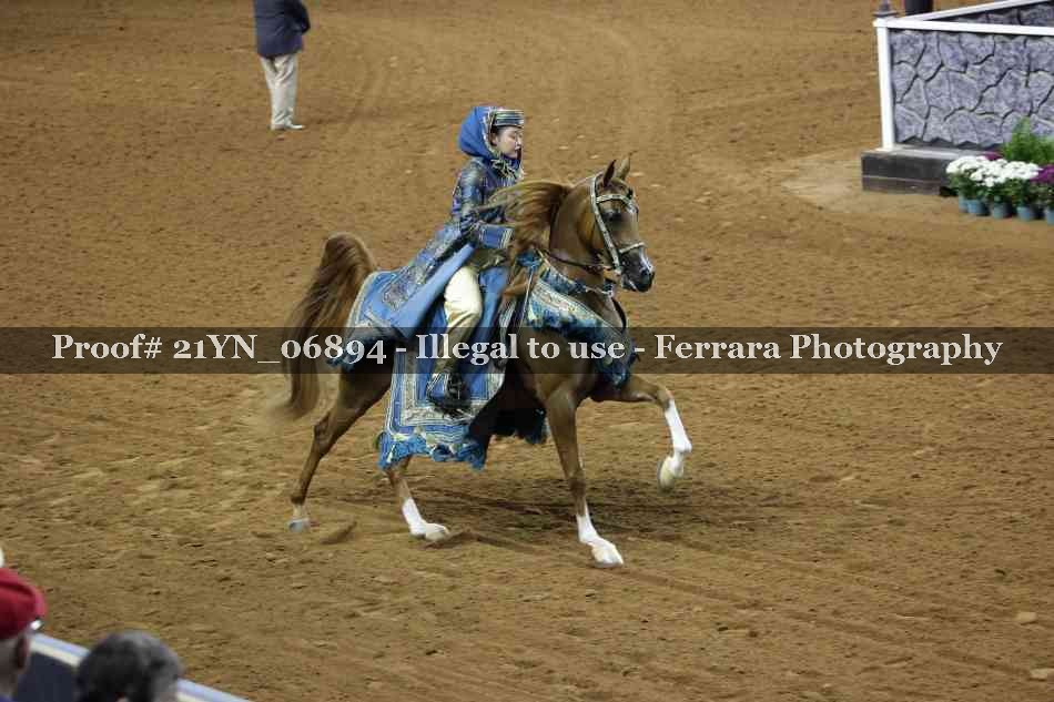 Proof 21YN_06894
