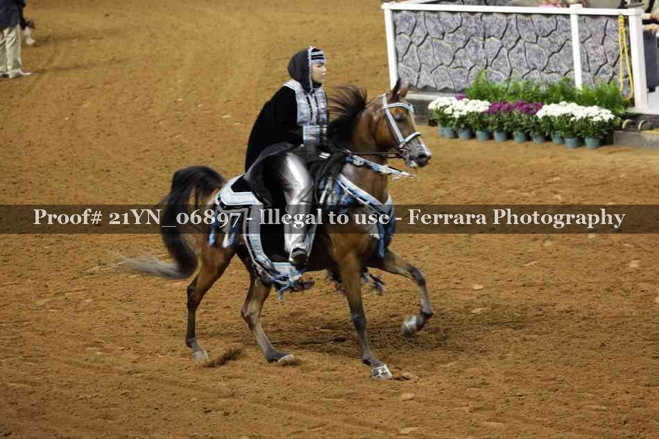 Proof 21YN_06897