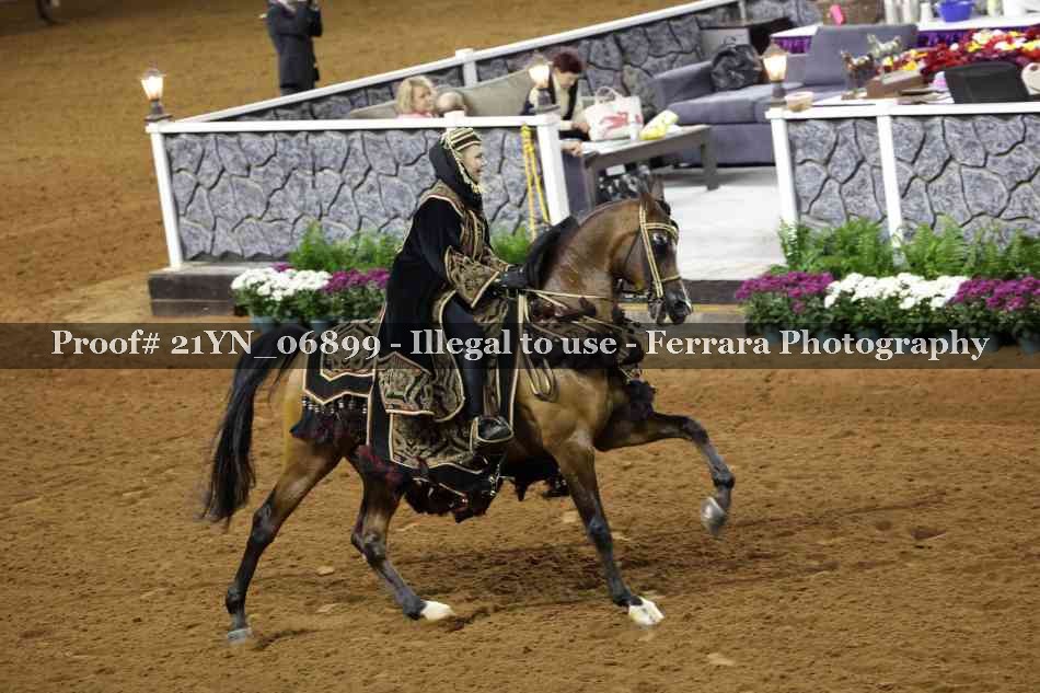 Proof 21YN_06899