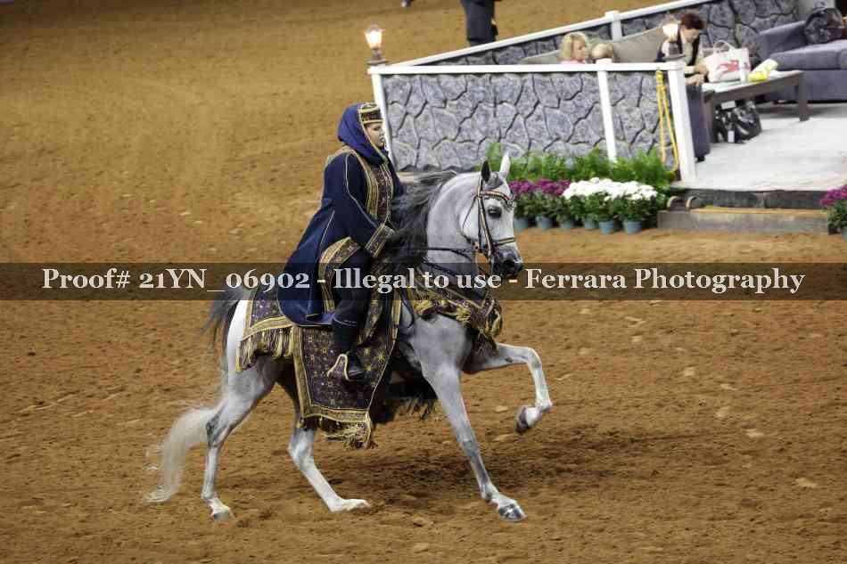 Proof 21YN_06902