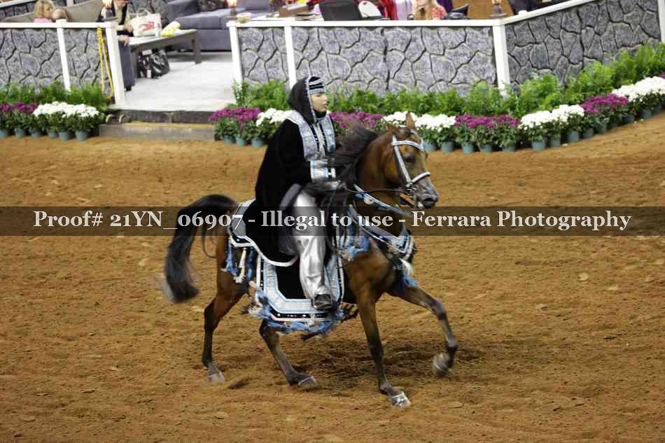 Proof 21YN_06907