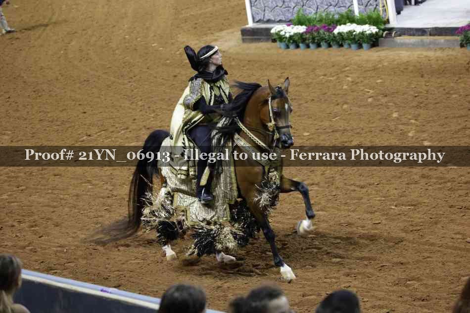 Proof 21YN_06913