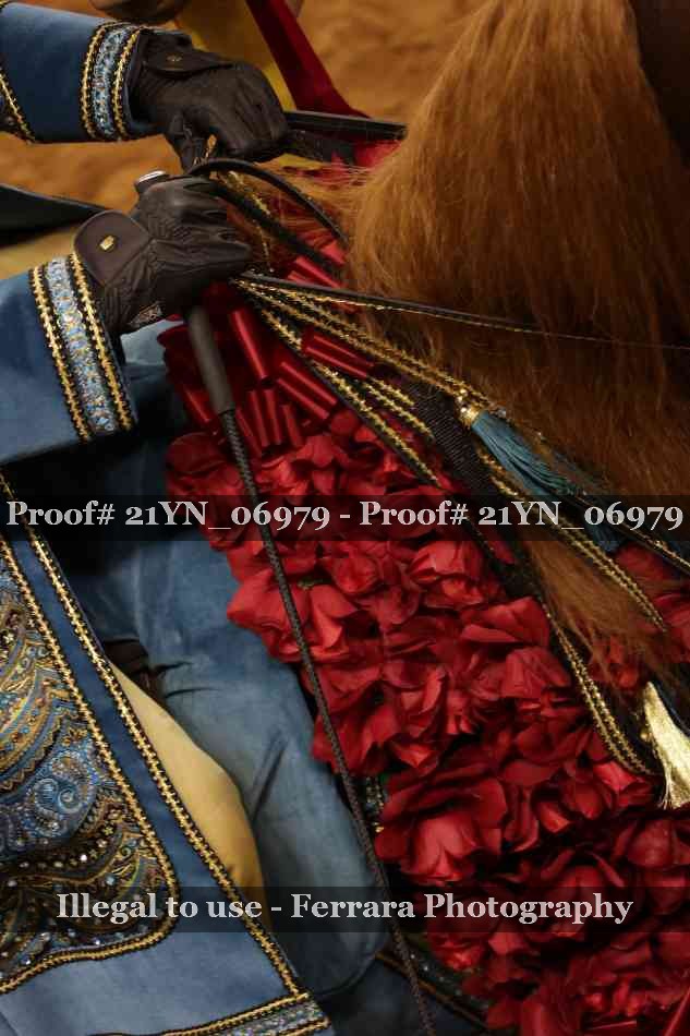 Proof 21YN_06979