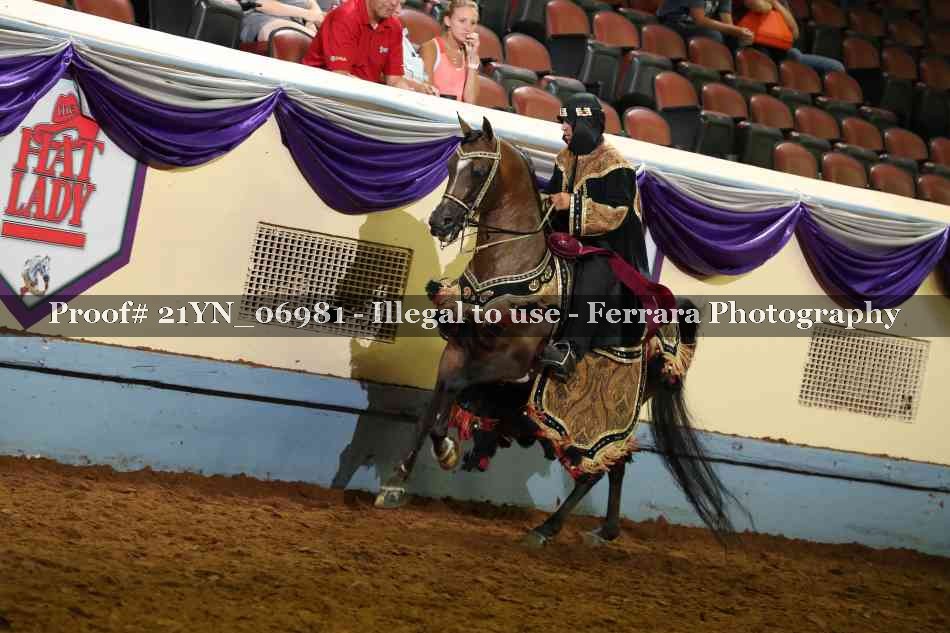 Proof 21YN_06981