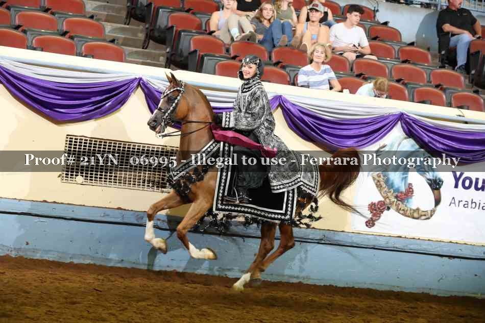 Proof 21YN_06995