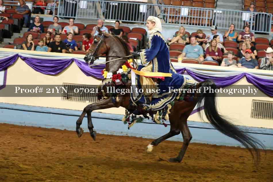 Proof 21YN_07021