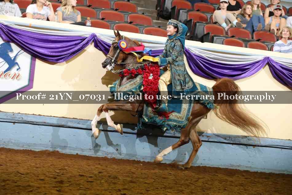 Proof 21YN_07031