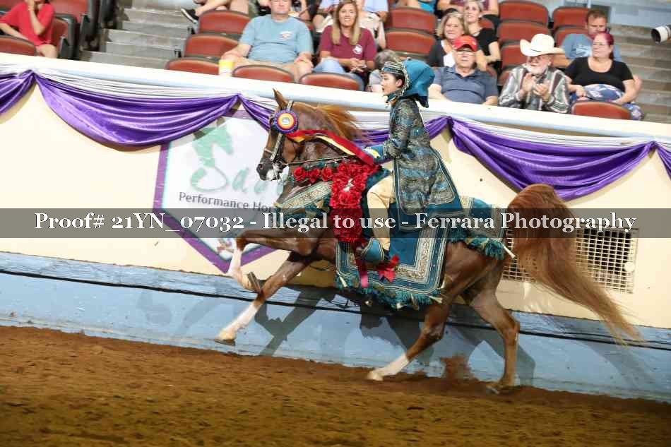 Proof 21YN_07032