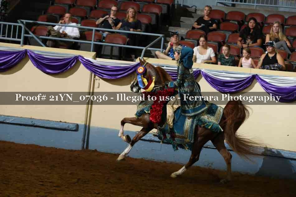 Proof 21YN_07036
