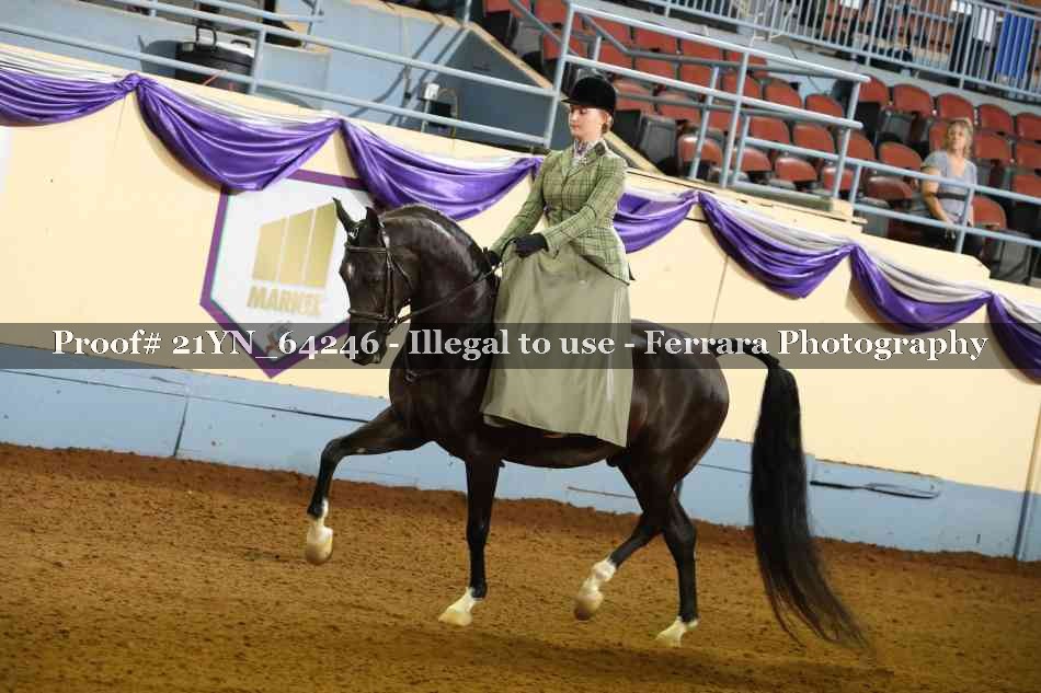 Proof 21YN_64246