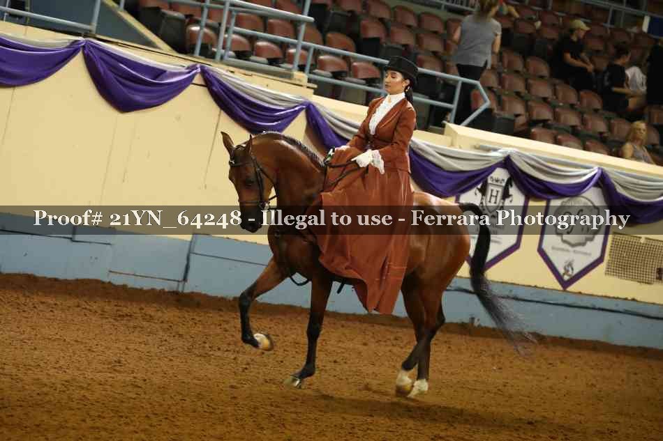 Proof 21YN_64248