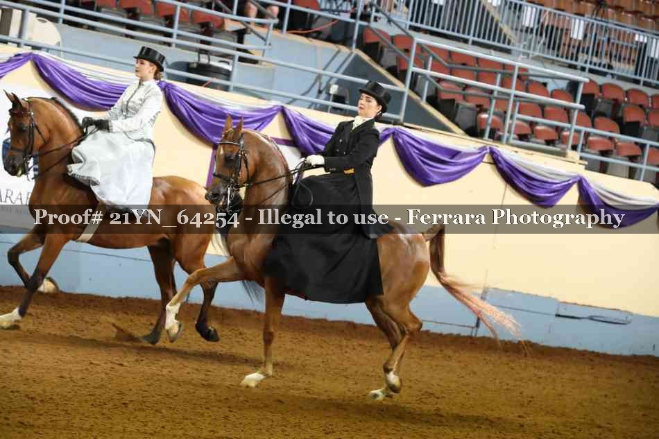 Proof 21YN_64254