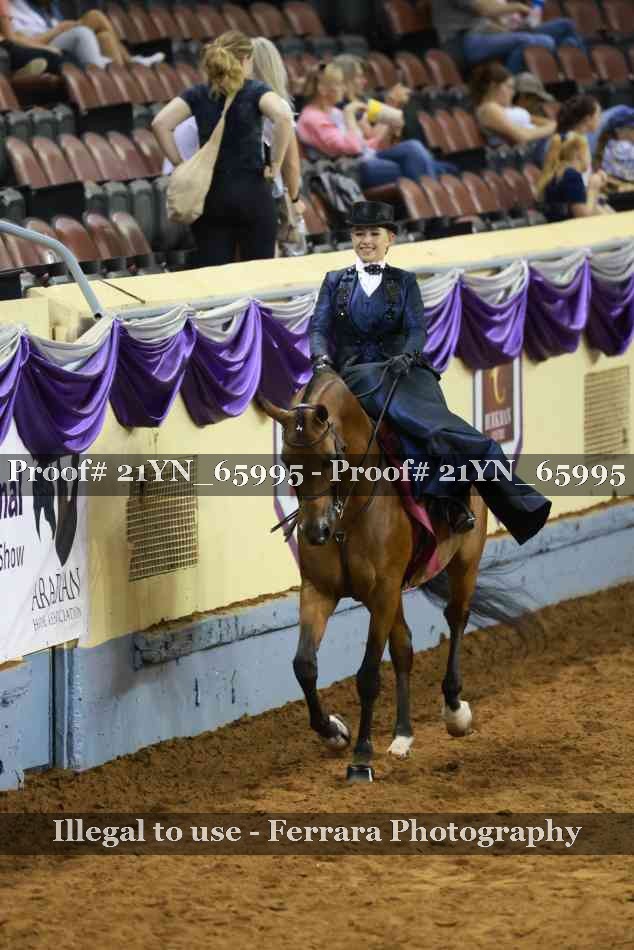 Proof 21YN_65995