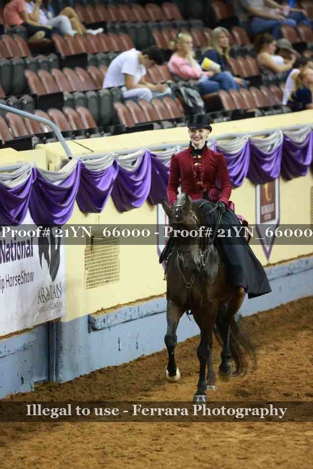 Proof 21YN_66000