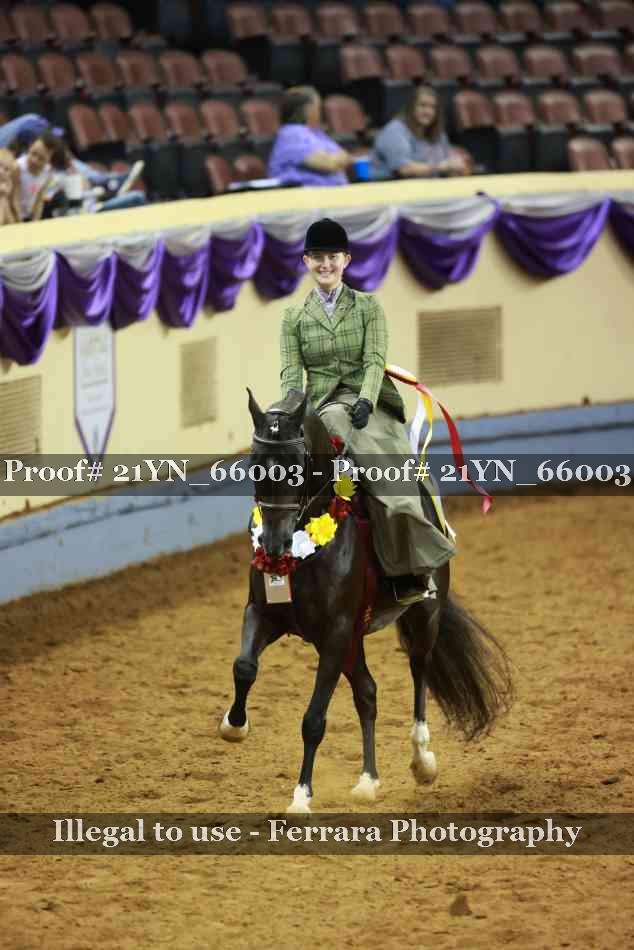 Proof 21YN_66003