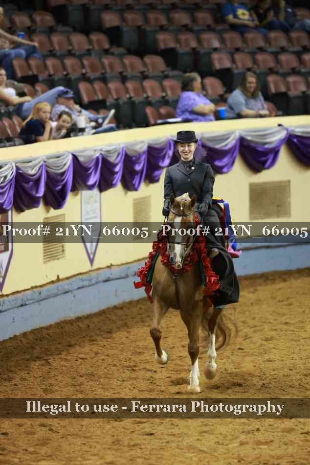 Proof 21YN_66005