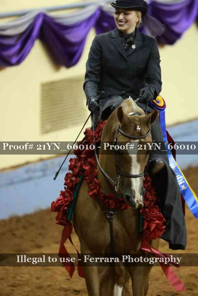 Proof 21YN_66010