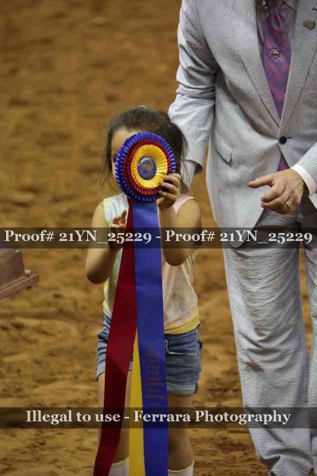 Proof 21YN_25229