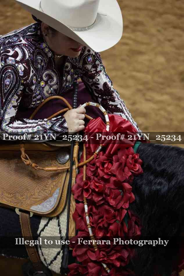 Proof 21YN_25234