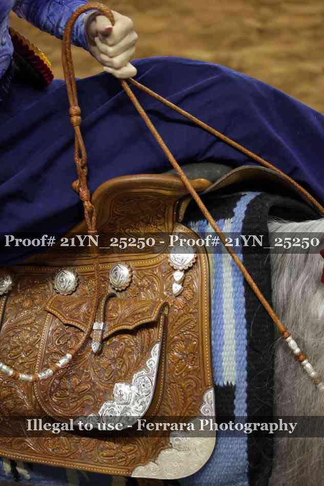 Proof 21YN_25250