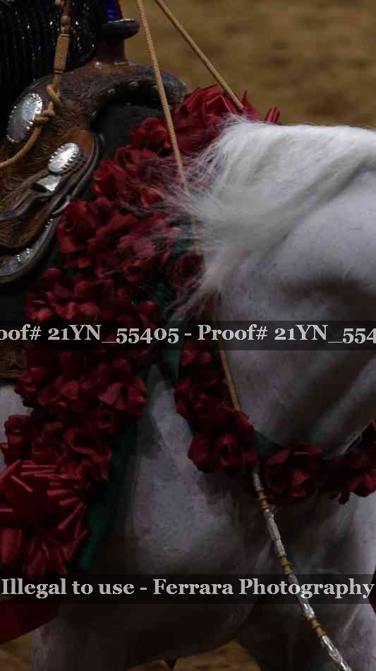 Proof 21YN_55405