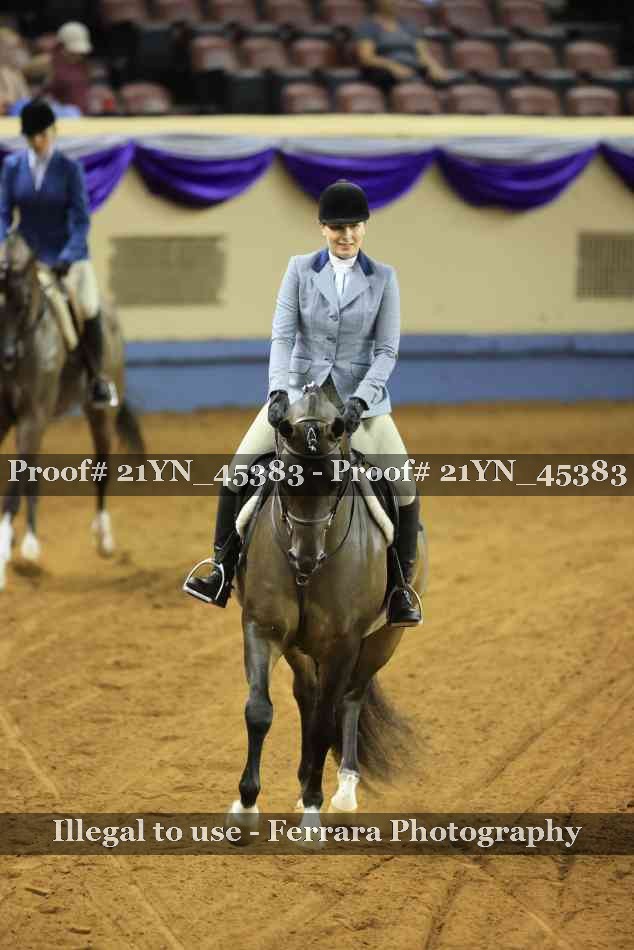 Proof 21YN_45383