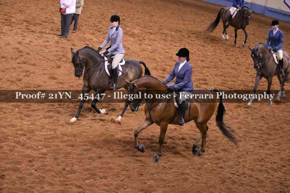 Proof 21YN_45447