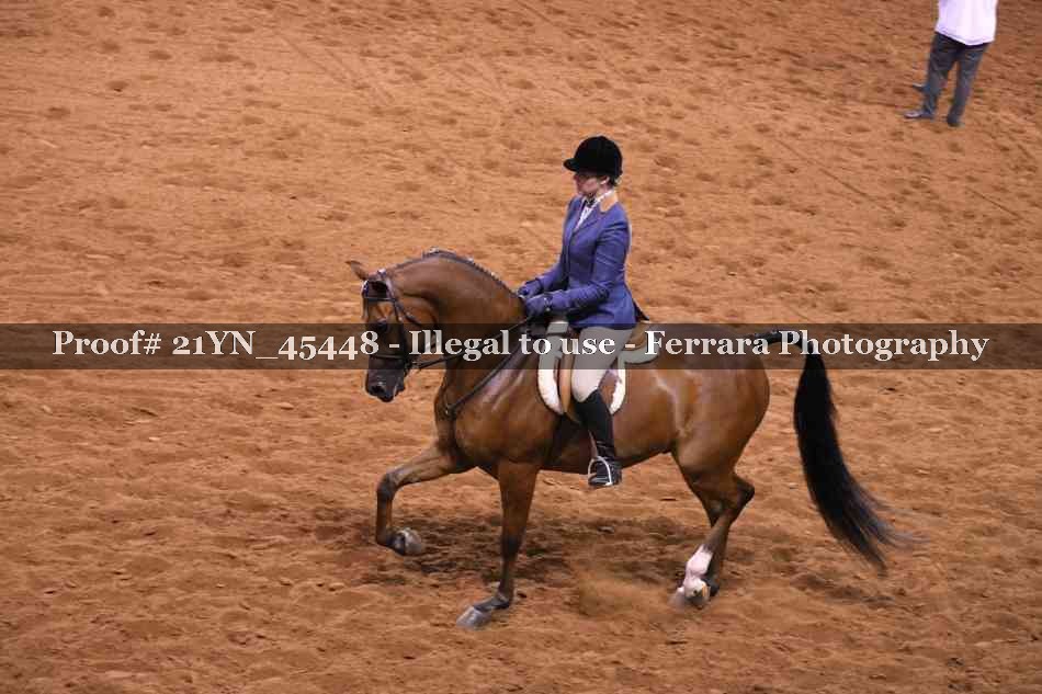 Proof 21YN_45448