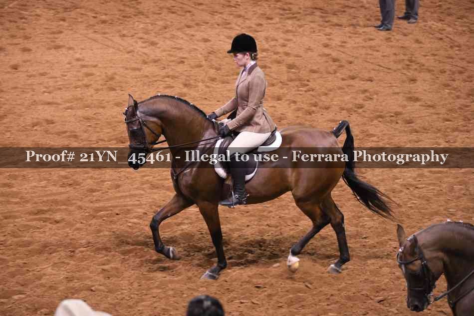 Proof 21YN_45461