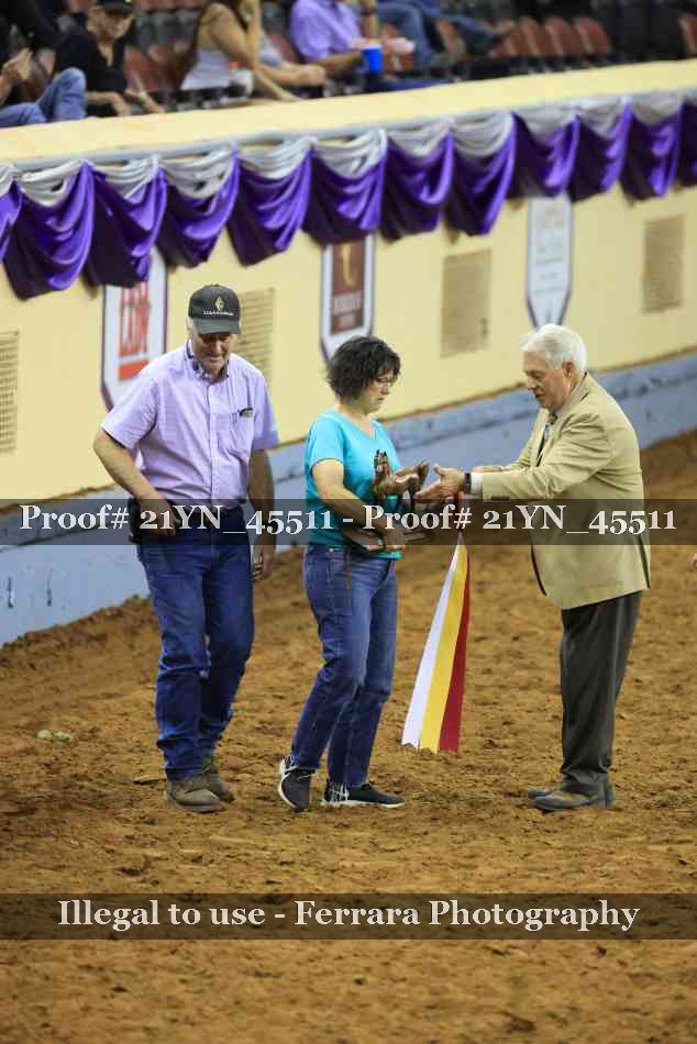 Proof 21YN_45511