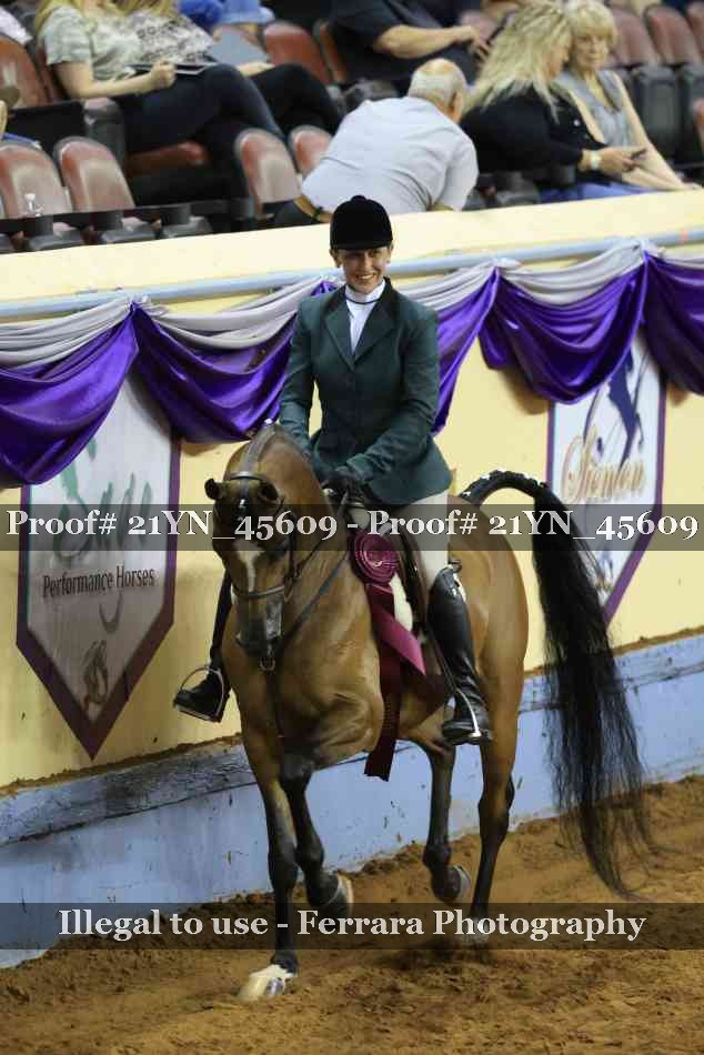 Proof 21YN_45609