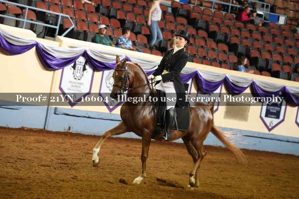 Proof 21YN_16604