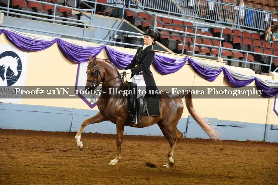 Proof 21YN_16605