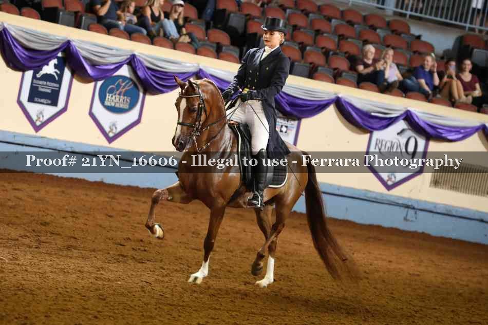 Proof 21YN_16606