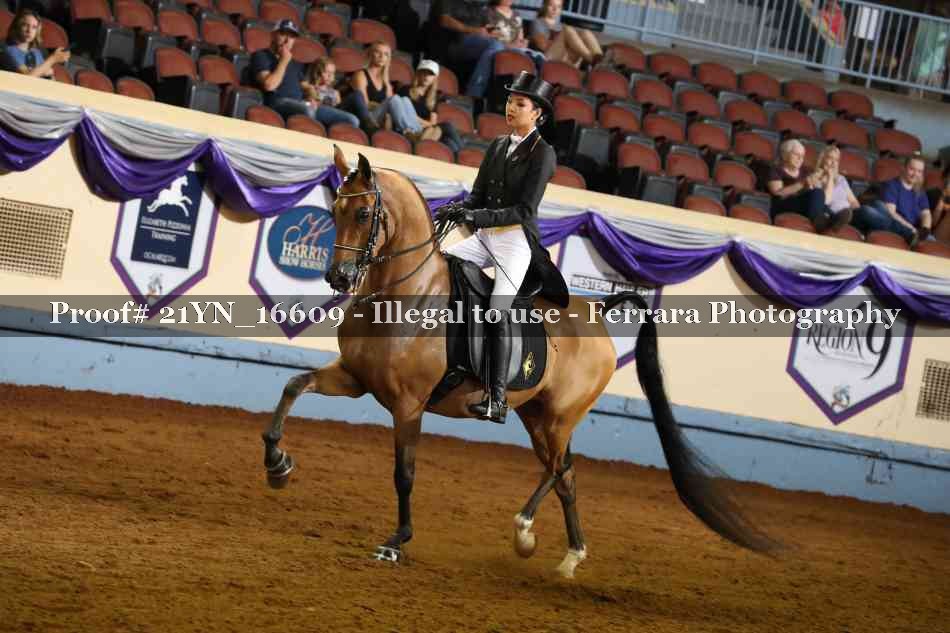 Proof 21YN_16609