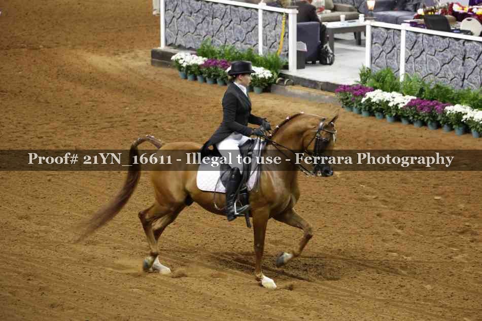 Proof 21YN_16611