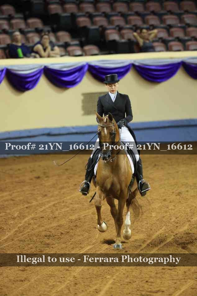 Proof 21YN_16612