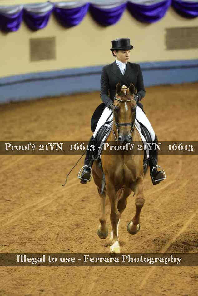 Proof 21YN_16613