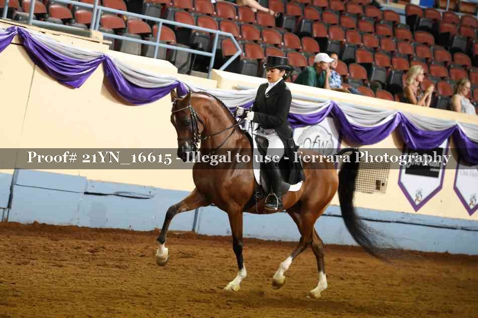 Proof 21YN_16615