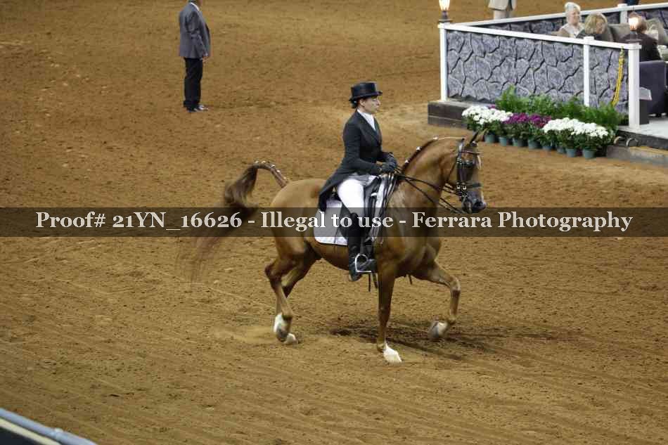 Proof 21YN_16626
