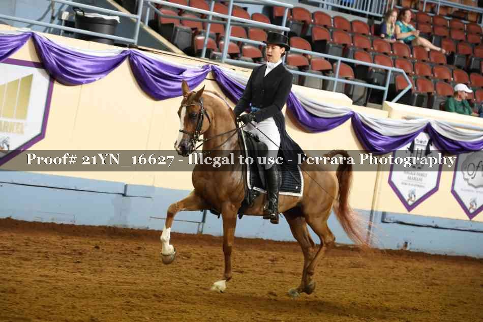 Proof 21YN_16627
