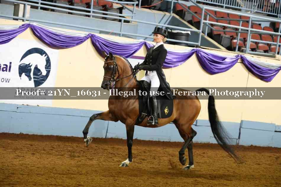 Proof 21YN_16631