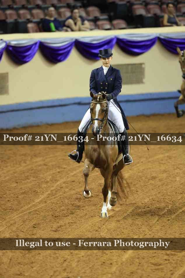 Proof 21YN_16634