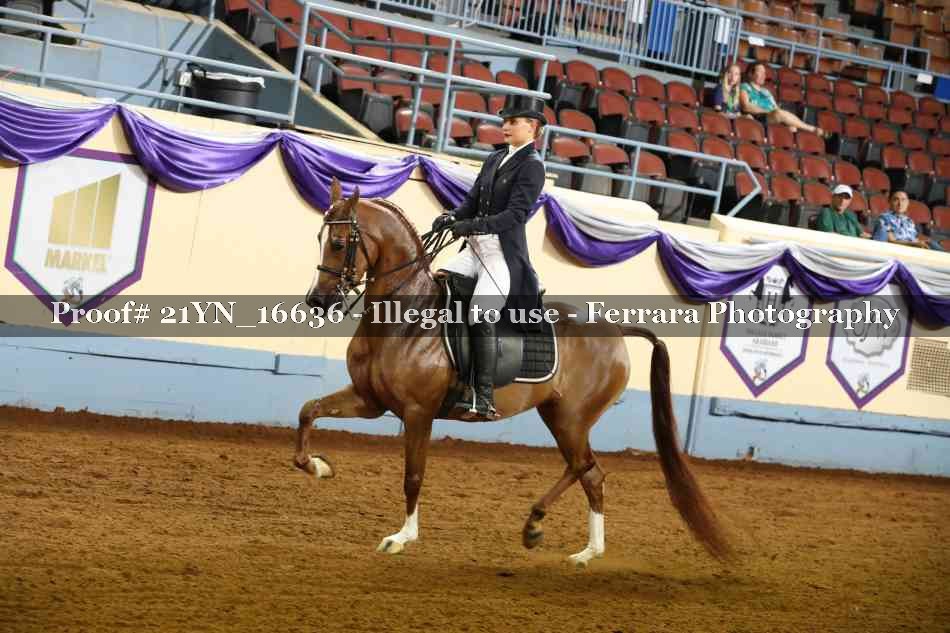 Proof 21YN_16636