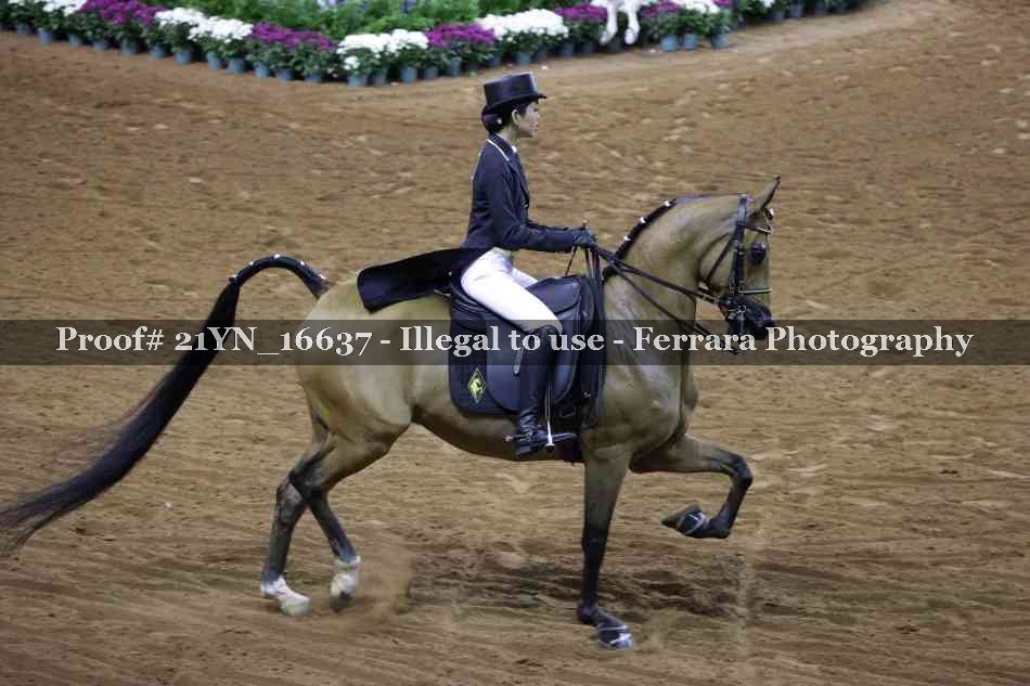 Proof 21YN_16637