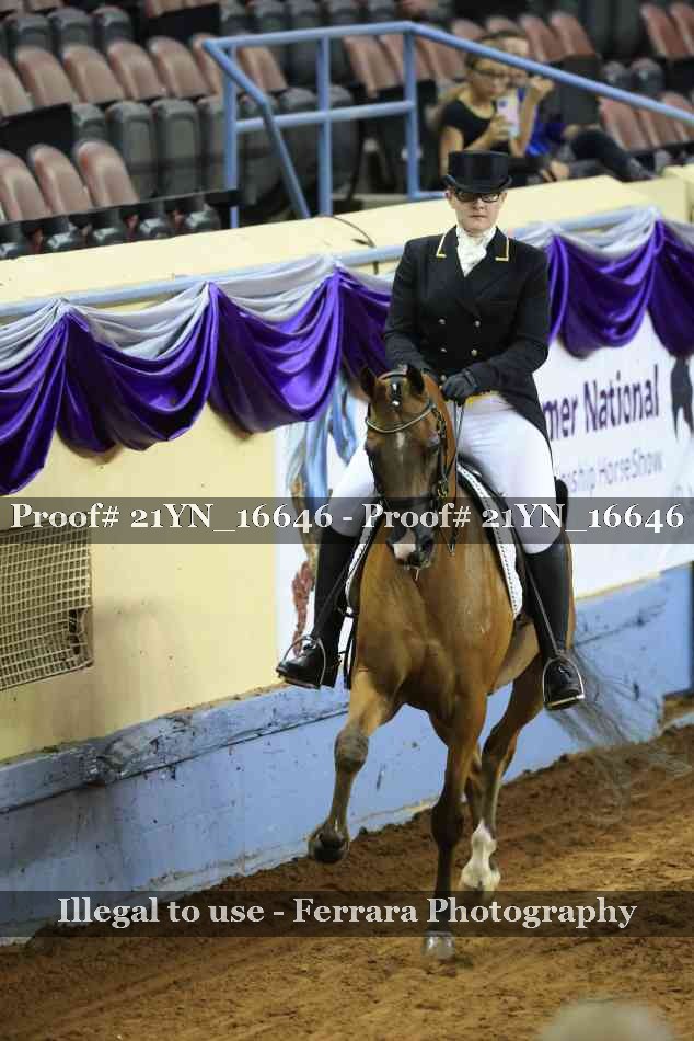 Proof 21YN_16646